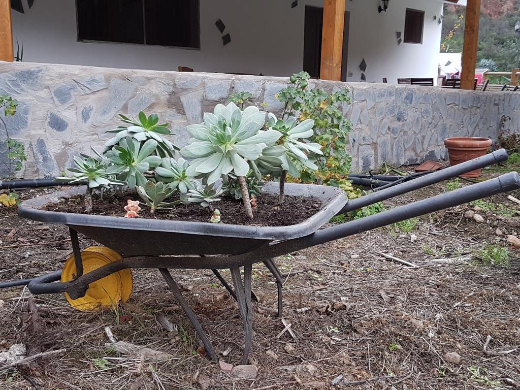 Casa Rural La Hoyita De Tunte San Bartolomé Esterno foto