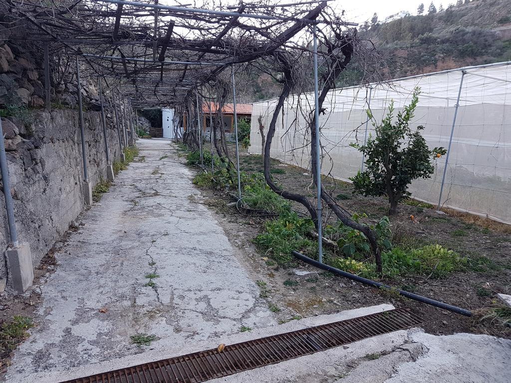 Casa Rural La Hoyita De Tunte San Bartolomé Esterno foto