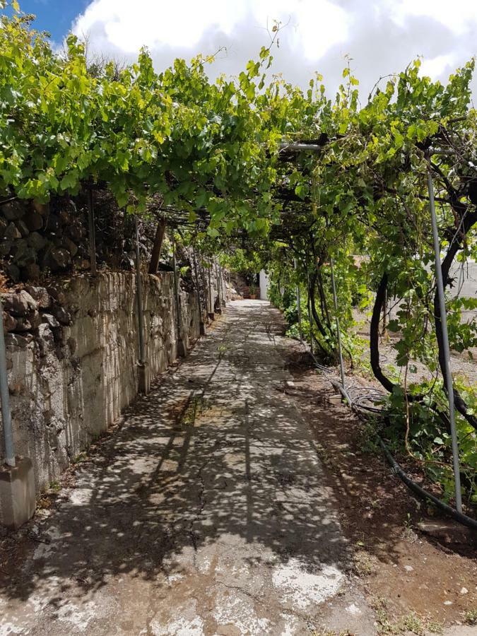 Casa Rural La Hoyita De Tunte San Bartolomé Esterno foto