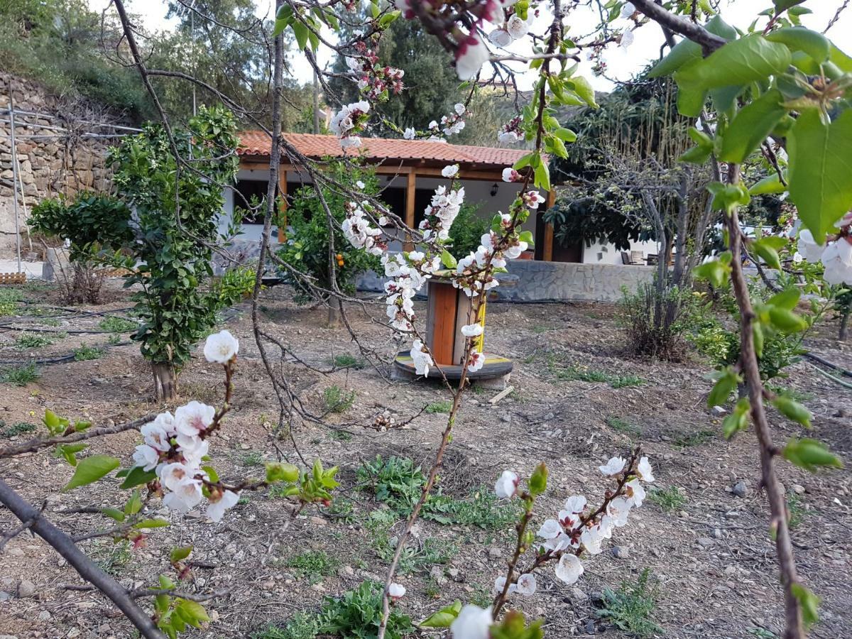 Casa Rural La Hoyita De Tunte San Bartolomé Esterno foto