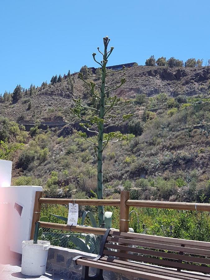 Casa Rural La Hoyita De Tunte San Bartolomé Esterno foto