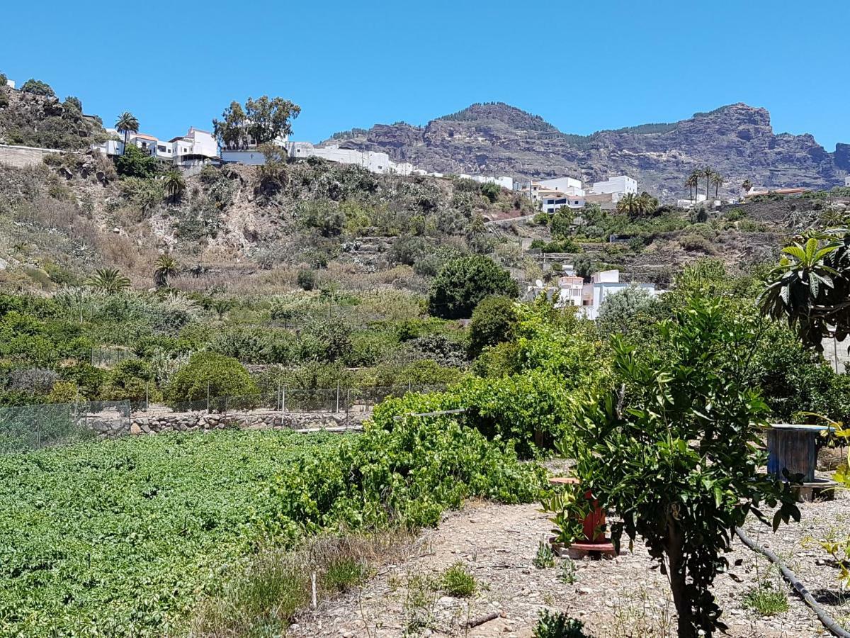 Casa Rural La Hoyita De Tunte San Bartolomé Esterno foto