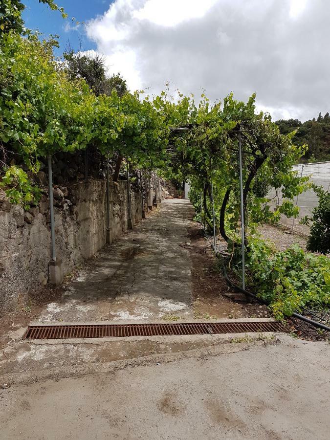 Casa Rural La Hoyita De Tunte San Bartolomé Esterno foto