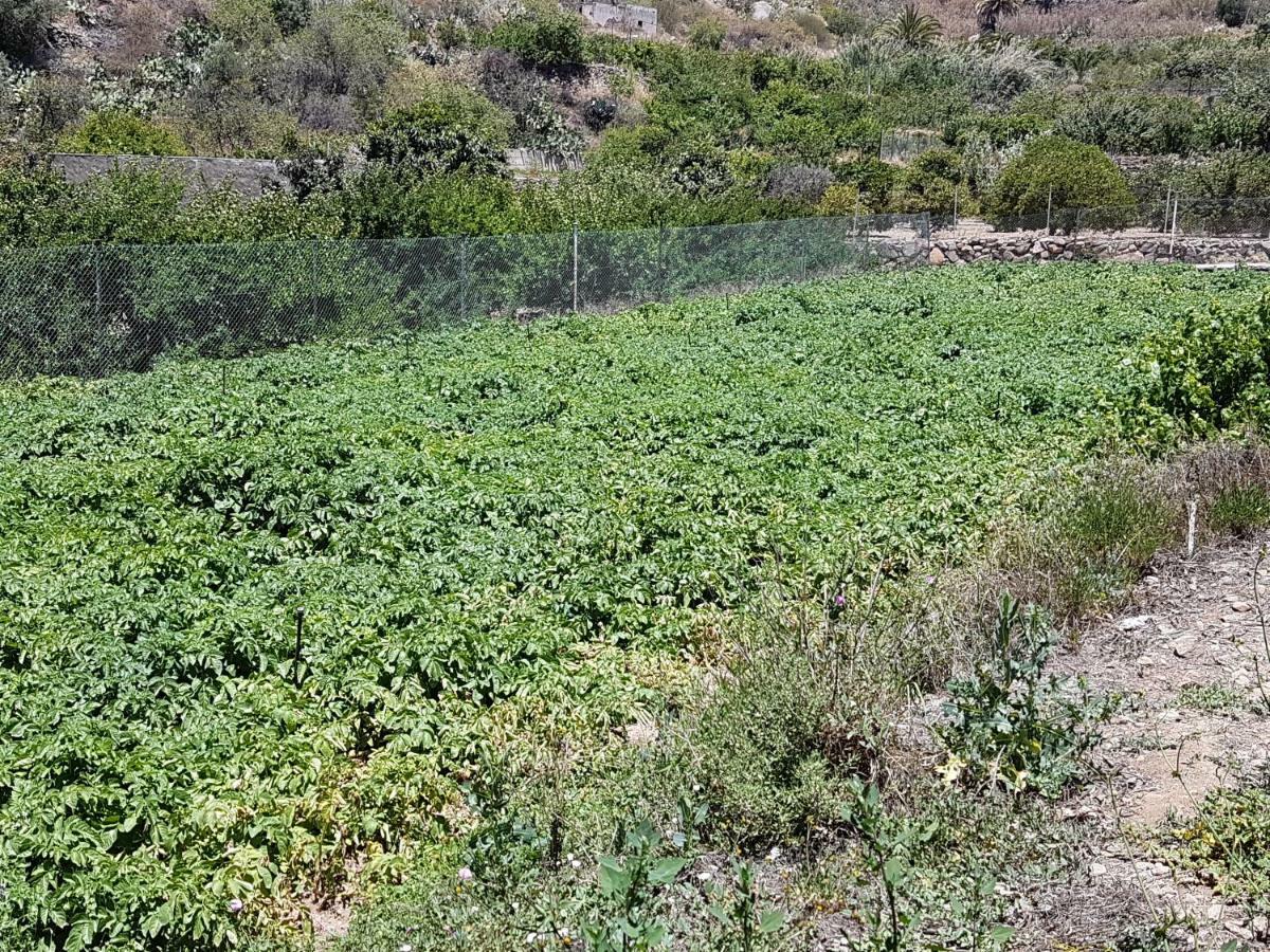 Casa Rural La Hoyita De Tunte San Bartolomé Esterno foto